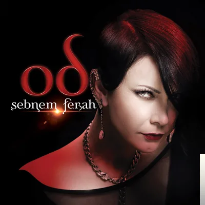 Şebnem Ferah - Ünzile