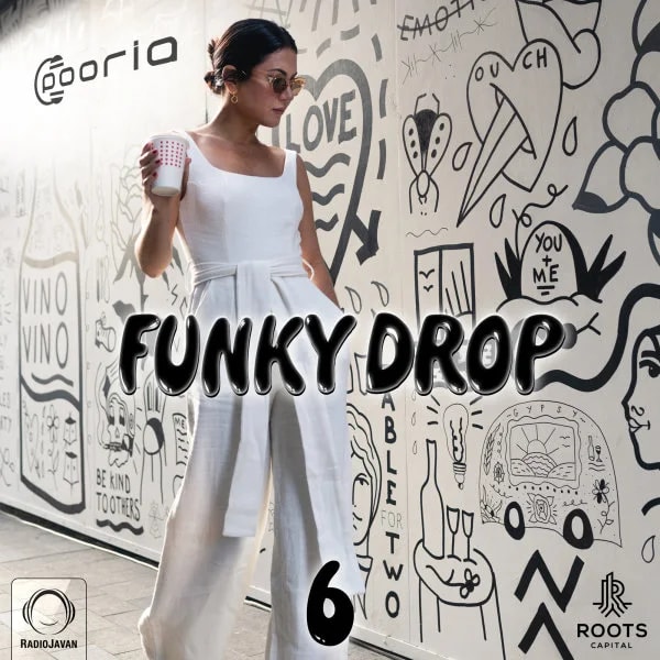 DJ Pooria - Funky Drop 6