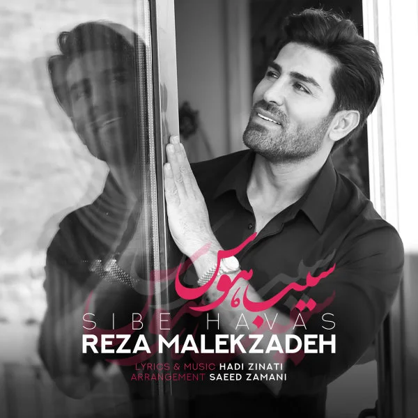 Reza Malekzadeh - Sibe Havas