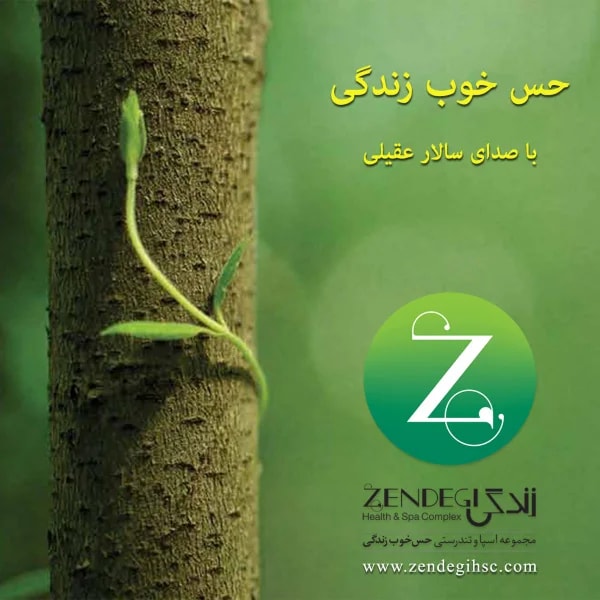 Salar Aghili - Hesse Khoobe Zendegi