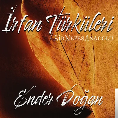 Ender Doğan - Dağlayıp Didemden Döktün
