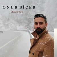 Onur Biçer - Dönülmez Yol
