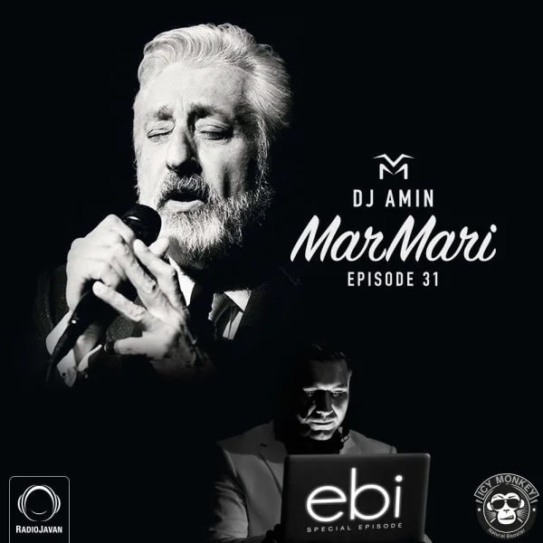 DJ Amin - Ebi's Special