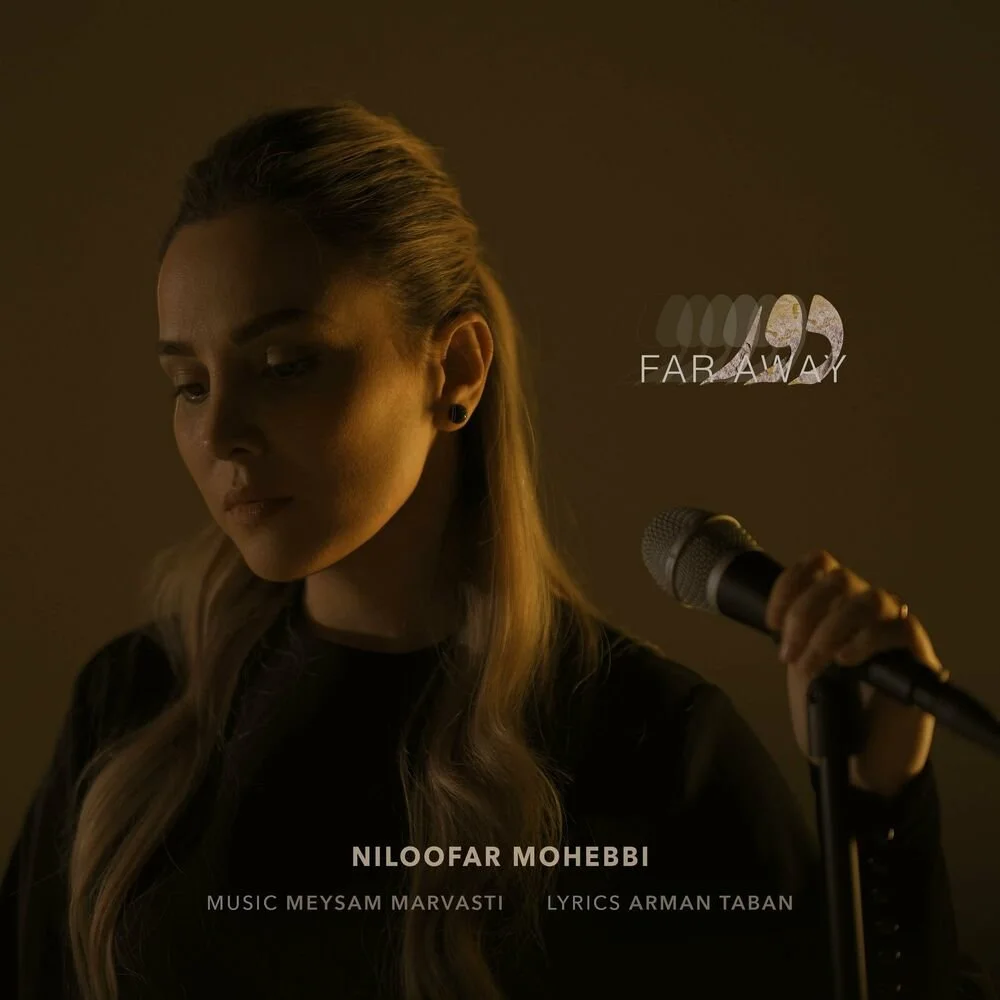 Niloofar Mohebbi - Door