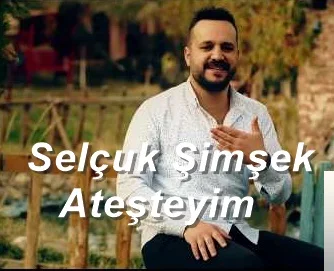 Selçuk Şimşek - Güzin