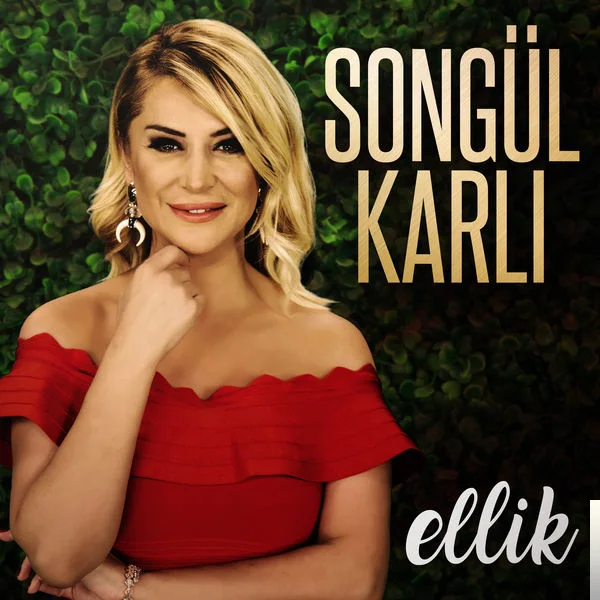 Songül Karlı - Dallarımı Kırdılar