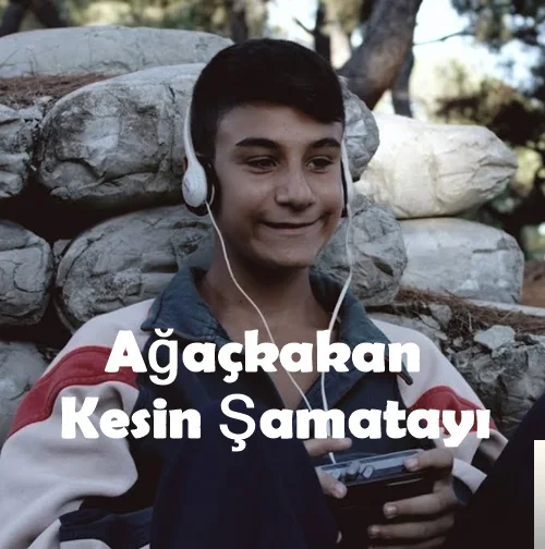 Ağaçkakan - Palto ve Kozmos