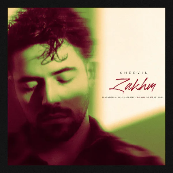 Shervin Hajipour - Zakhm (Unplugged)