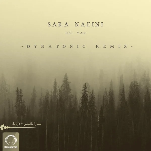Sara Naeini - Del Yar (Dynatonic Remix)