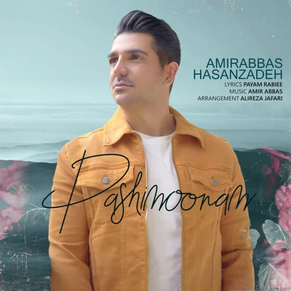 Amirabbas Hasanzadeh - Pashimoonam