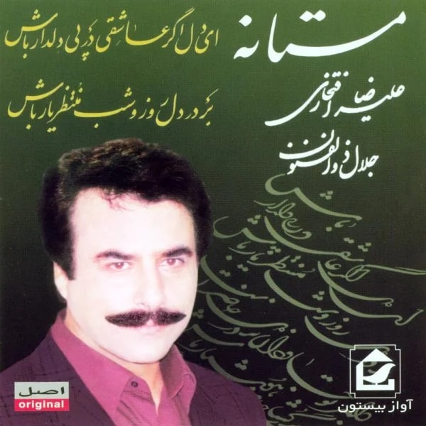 Alireza Eftekhari - Moonese Shabhaye Man