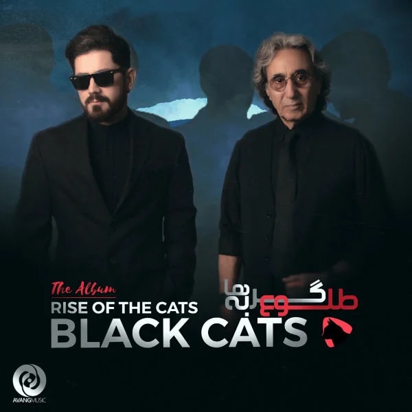 Black Cats - Faraar
