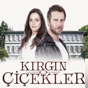 Dizi Film Müzikleri - Kırgın Çiçekler-İçimdeki Sızı