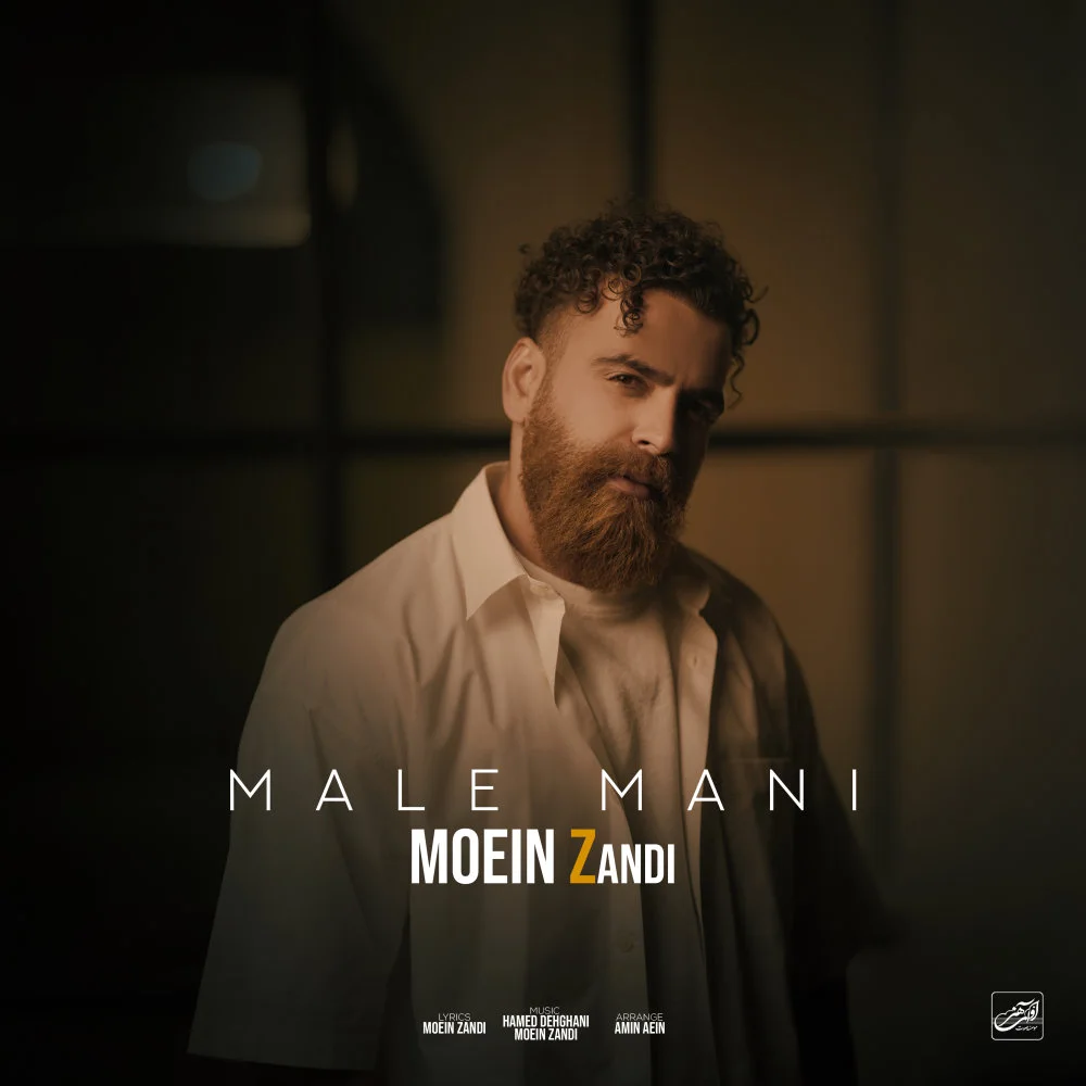 Moein Z - Male Mani