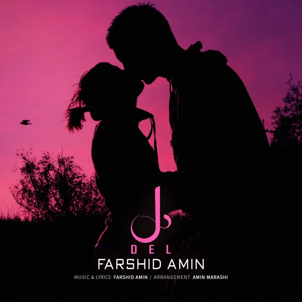 Farshid Amin - Del