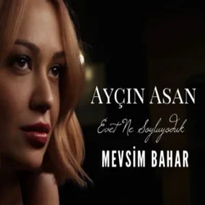 Ayçin Asan - Değmezmiş Sana
