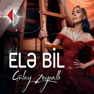 Gülay Zeynallı - Durnalar Gole Geldi