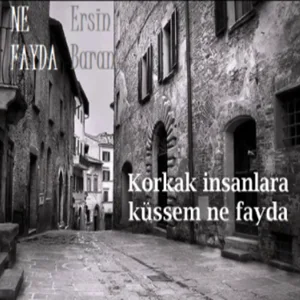 Ersin Baran - Meçhule Firariyim