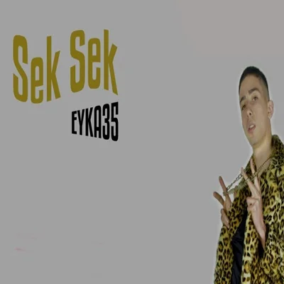 Eyka35 - Geriye Dönemem