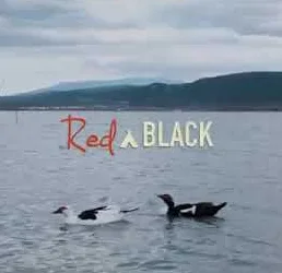 RednBlack - Boşver