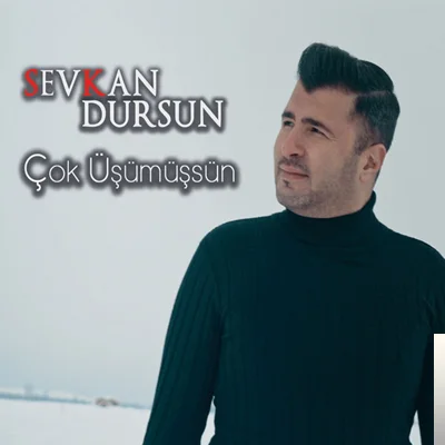 Sevkan Dursun - Gam Yeme