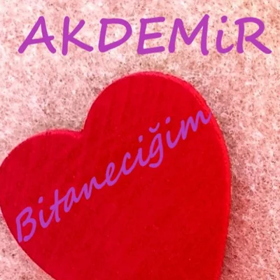 Akdemir - Para Para Para