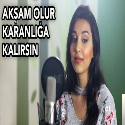 Damla Çetin - Akşam Olur Karanlığa Kalırsın