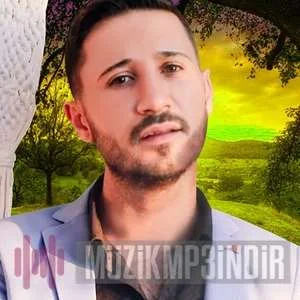 Baran Demet - Sen Nerdesin