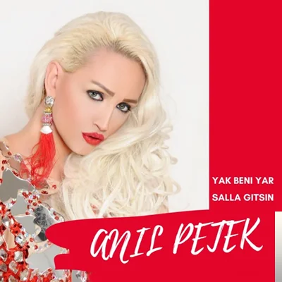 Anıl Petek - Salla Gitsin