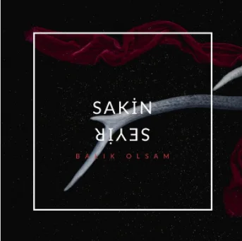 Sakin Seyir - Sen O Musun