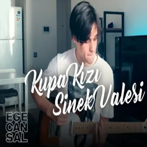 Ege Can Sal - Kupa Kızı Sinek Valesi