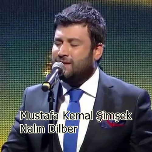 Mustafa Kemal Şimşek - Mapushanelere Attım Postumu