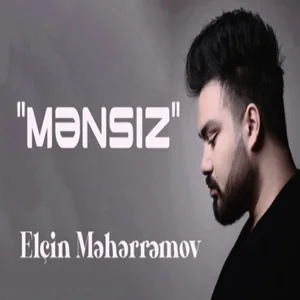Elcin Meherremov - İntiqam