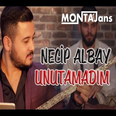 Necip Albay - Karanfil Ekeceğim