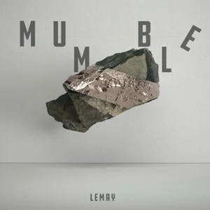 Lemay - Digital Disaster