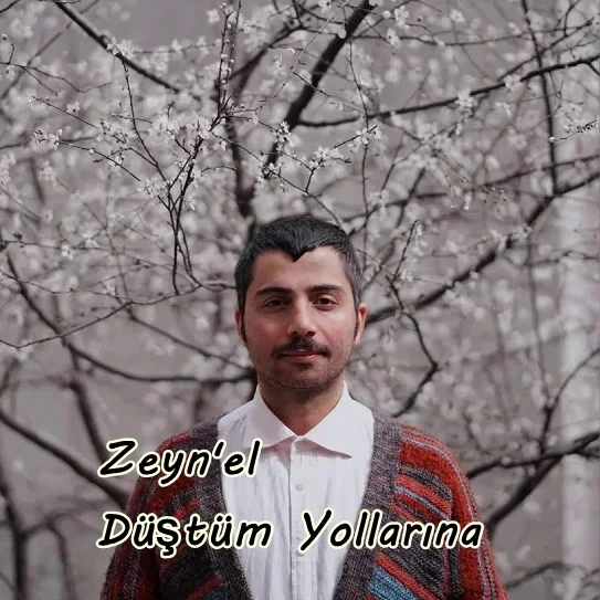 Zeynel - Bilmeyiz