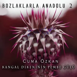 Cuma Özkan - İzin Ver Teğmenim