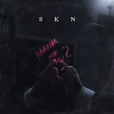 SKN - Hakkım Yok mu