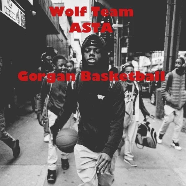 Asta - Wolf Team