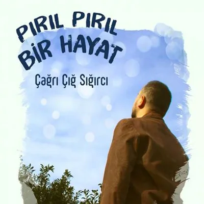 Çağrı Çığ Sığırcı - Ceren