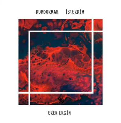 Eren Ergin - Durdurmak İsterdim