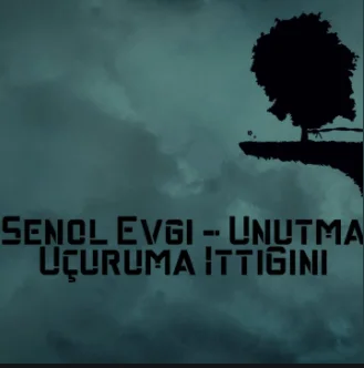 Şenol Evgi - Unutma Uçuruma İttiğini
