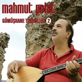 Mahmut Polat - Di Yürü