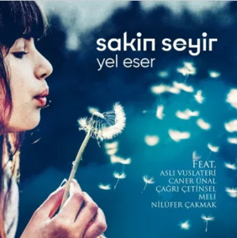 Sakin Seyir - İkilem