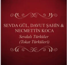 Sevda Gül - Turnam