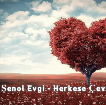 Şenol Evgi - Herkese Çevrimiçi