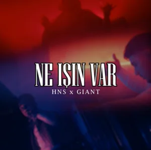 Hns - 4Life