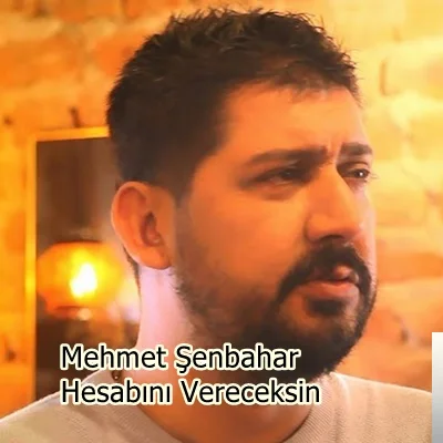 Mehmet Şenbahar - Dağlar Gördü İsyanımı