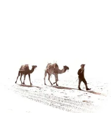 Yank - Yarın Uzaklarda