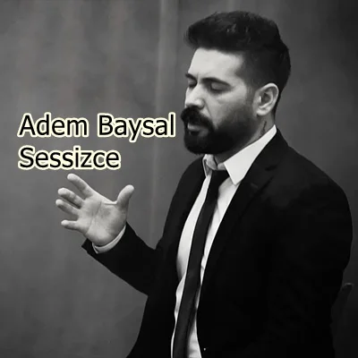 Adem Baysal - feat Cenk Yürekli-Sessizce